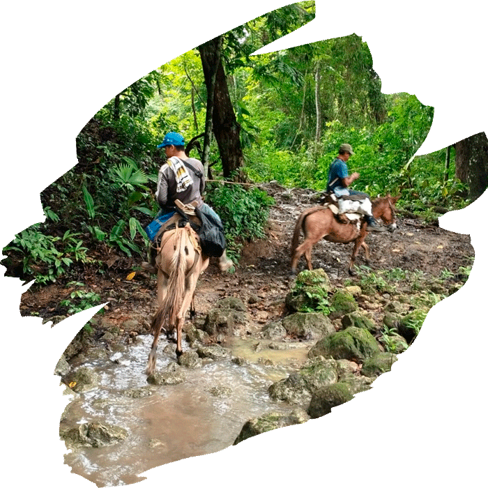 onne_ecoturismo