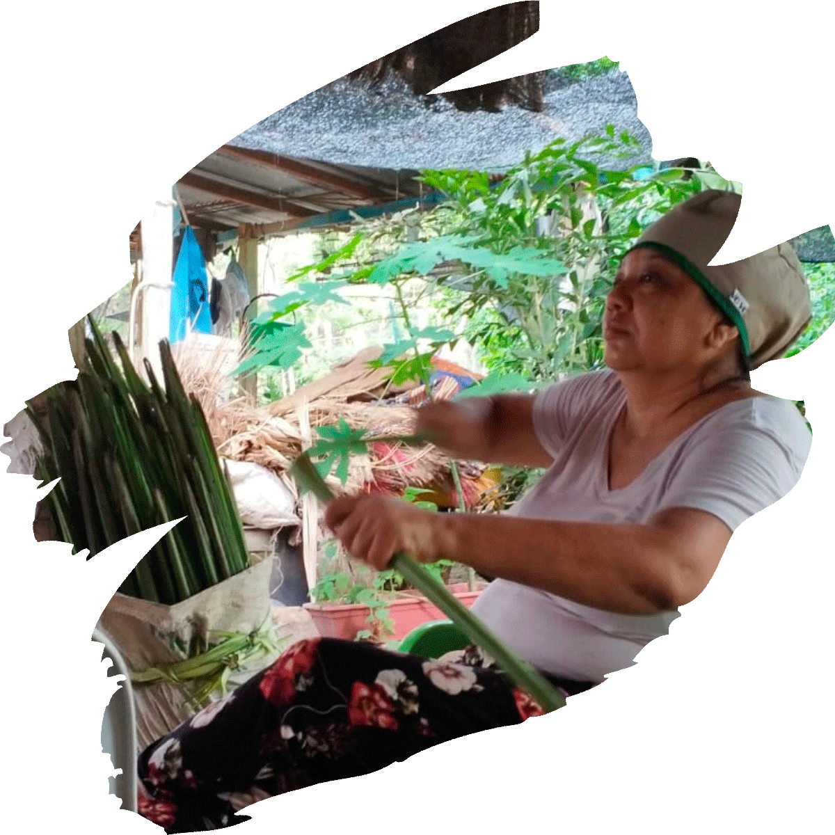 onne_ecoturismo_quienes